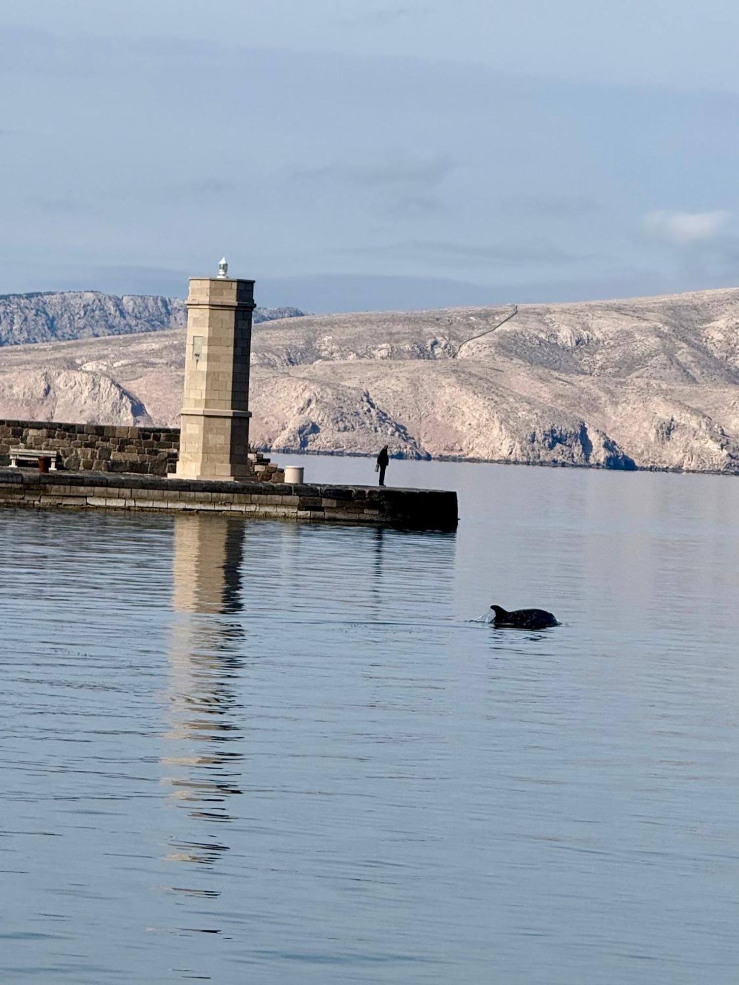 Carpe Diem Apartment Senj  Bagian luar foto